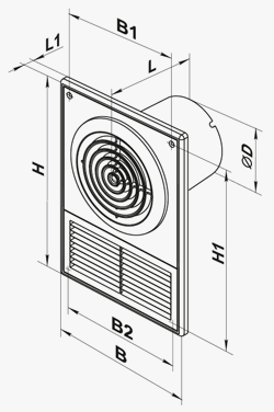 VENTS 125 F1